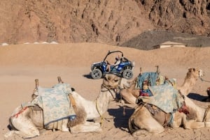 Från Sharm: ATV-safari, parasailing, glasbåt och vattensporter