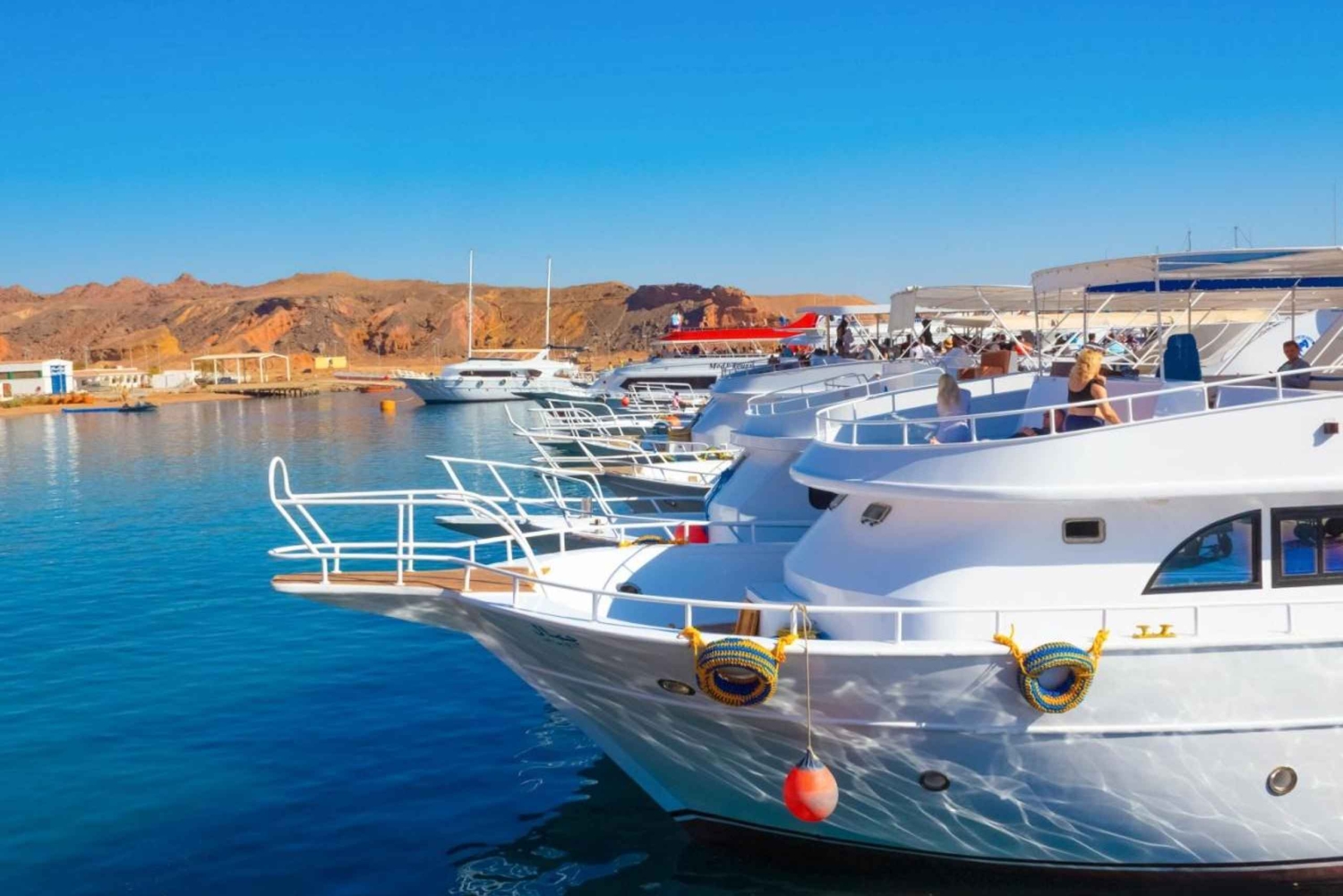 From Sharm: Ras Mohamed, White Island Snorkel & Dive w/Lunch