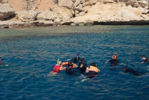 From Sharm: Ras Mohamed, White Island Snorkel & Dive w/Lunch