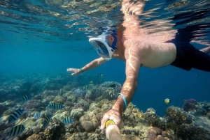 From Sharm: Ras Mohamed, White Island Snorkel & Dive w/Lunch