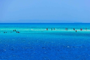 From Sharm: Ras Mohamed, White Island Snorkel & Dive w/Lunch