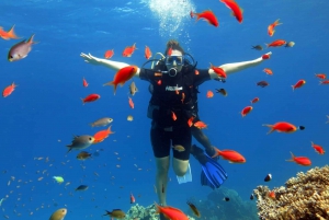 Fra Sharm: Ras Mohammed snorkelkrydstogt og valgfri dykning