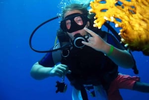 Från Sharm: Snorkelkryssning i Ras Mohammed och dykning (tillval)