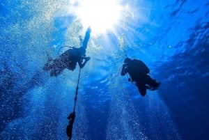 Desde Sharm Crucero de snorkel por Ras Mohammed y buceo opcional