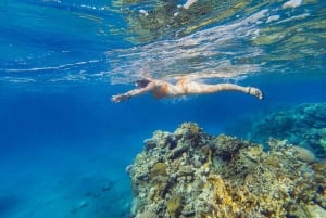 Från Sharm: Snorkelkryssning i Ras Mohammed och dykning (tillval)