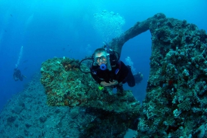 Desde Sharm Ras Muhammed y la Isla Blanca en barco e intro inmersión