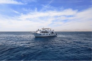 Från Sharm: Ras Muhammed & White Island med båt och introdyk