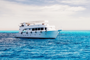 Från Sharm: Ras Muhammed & White Island med båt och introdyk