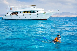 Från Sharm: Ras Muhammed & White Island med båt och introdyk