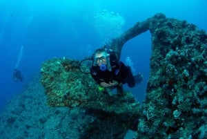 Fra Sharm: Ras Muhammed & White Island med båd & introduktionsdyk