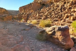 Fra Sharm: Red Canyon, Dahab, ATV-, kamel- og snorkleturer
