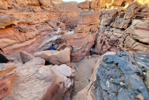Au départ de Sharm : Canyon rouge, Dahab, VTT, chameau et plongée en apnée