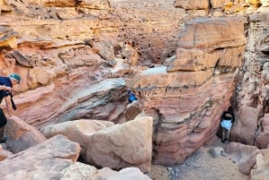 De Sharm: Red Canyon, Dahab, quadriciclo, camelo e passeio de mergulho com snorkel