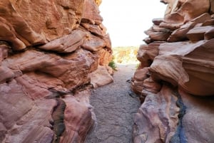 From Sharm: Red Canyon, Dahab, ATV, Camel & Snorkeling Tour