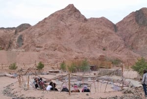 Från Sharm: Röda kanjonen, Dahab, ATV, kamel- och snorklingstur