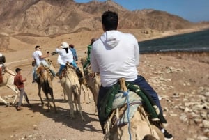 De Sharm: Red Canyon, Dahab, quadriciclo, camelo e passeio de mergulho com snorkel