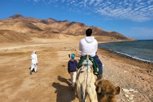 Fra Sharm: Red Canyon, Dahab, ATV-, kamel- og snorkleturer