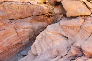 Z Sharm: Czerwony Kanion, Dahab, quady, wielbłądy i nurkowanie z rurką