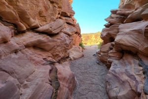 Från Sharm: Röda kanjonen, Dahab, ATV, kamel- och snorklingstur