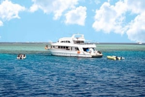 Da Sharm: Isola Bianca e Ras Mohamed per lo snorkeling