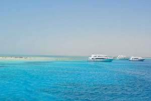 Vanuit Sharm: Wit eiland en Ras Mohamed snorkeltrip