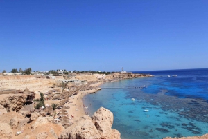 Fra Sharm: Snorkeltur til White Island og Ras Mohamed