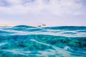 Fra Sharm: Snorkletur på White Island og Ras Mohamed