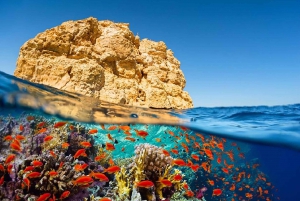 Vanuit Sharm: Wit eiland en Ras Mohamed snorkeltrip