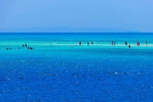 Von Sharm aus: White Island und Ras Mohamed Schnorchelausflug