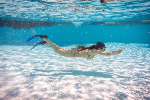 Fra Sharm: Snorkletur på White Island og Ras Mohamed