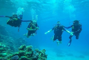 From Sharm: White Island and Ras Mohamed Snorkeling Trip