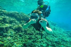 Vanuit Sharm: Wit eiland en Ras Mohamed snorkeltrip