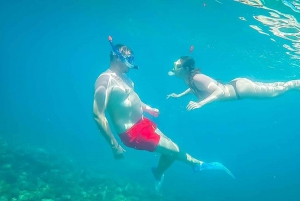 Da Sharm: Isola Bianca e Ras Mohamed per lo snorkeling