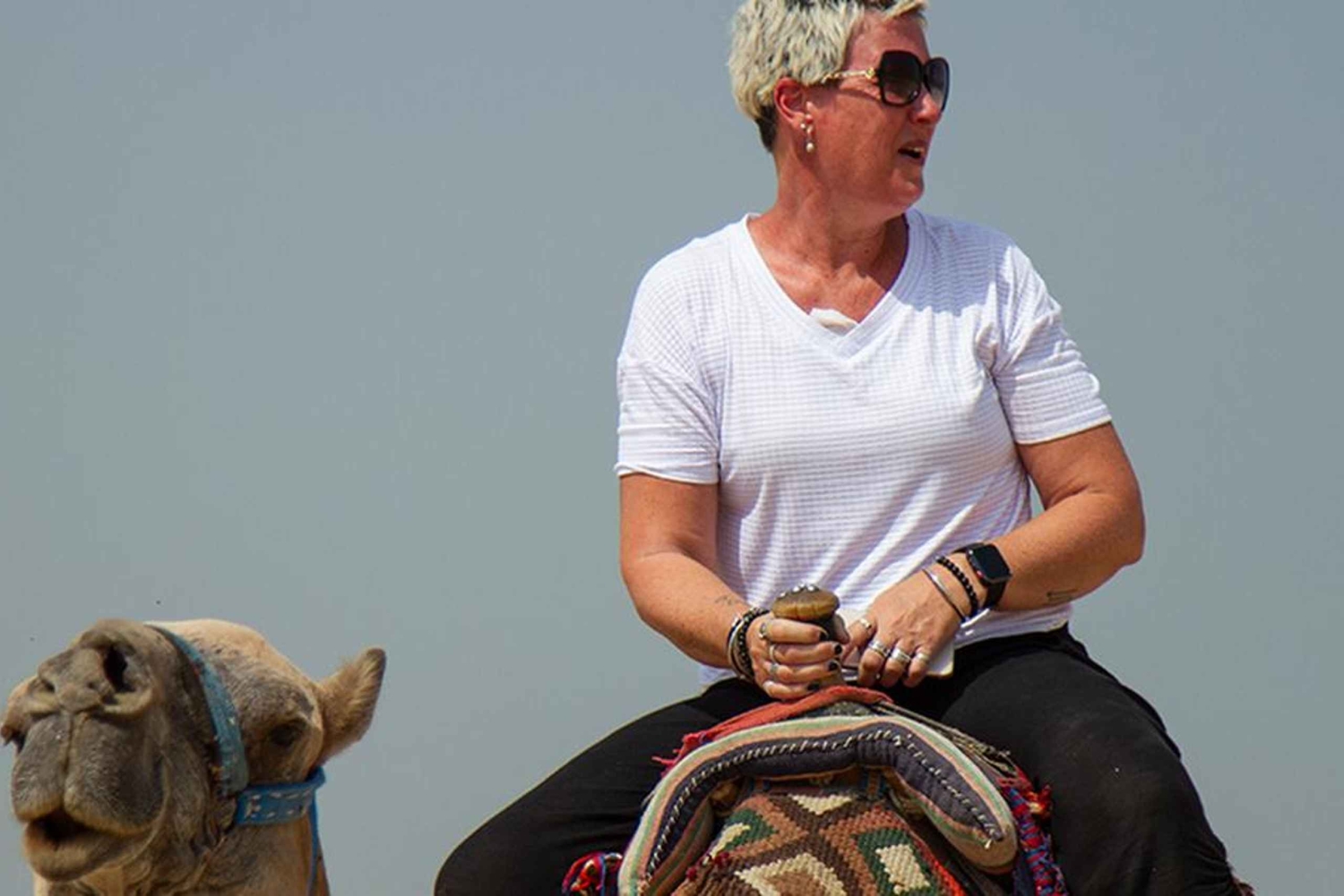 Гиза: пирамиды на закате, тур на верблюдах с гидом