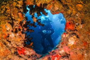 Hurghada: Liveaboard Diving Adventure around Ras Mohamed