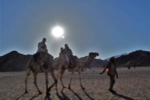 Hurghada: Quad Bike, Buggy, Jeep Safari, Camel Ride & Dinner