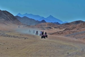 Hurghada: Quad Bike, Buggy, Jeep Safari, Camel Ride & Dinner