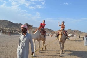 Hurghada: Quad Bike, Buggy, Jeep Safari, Camel Ride & Dinner