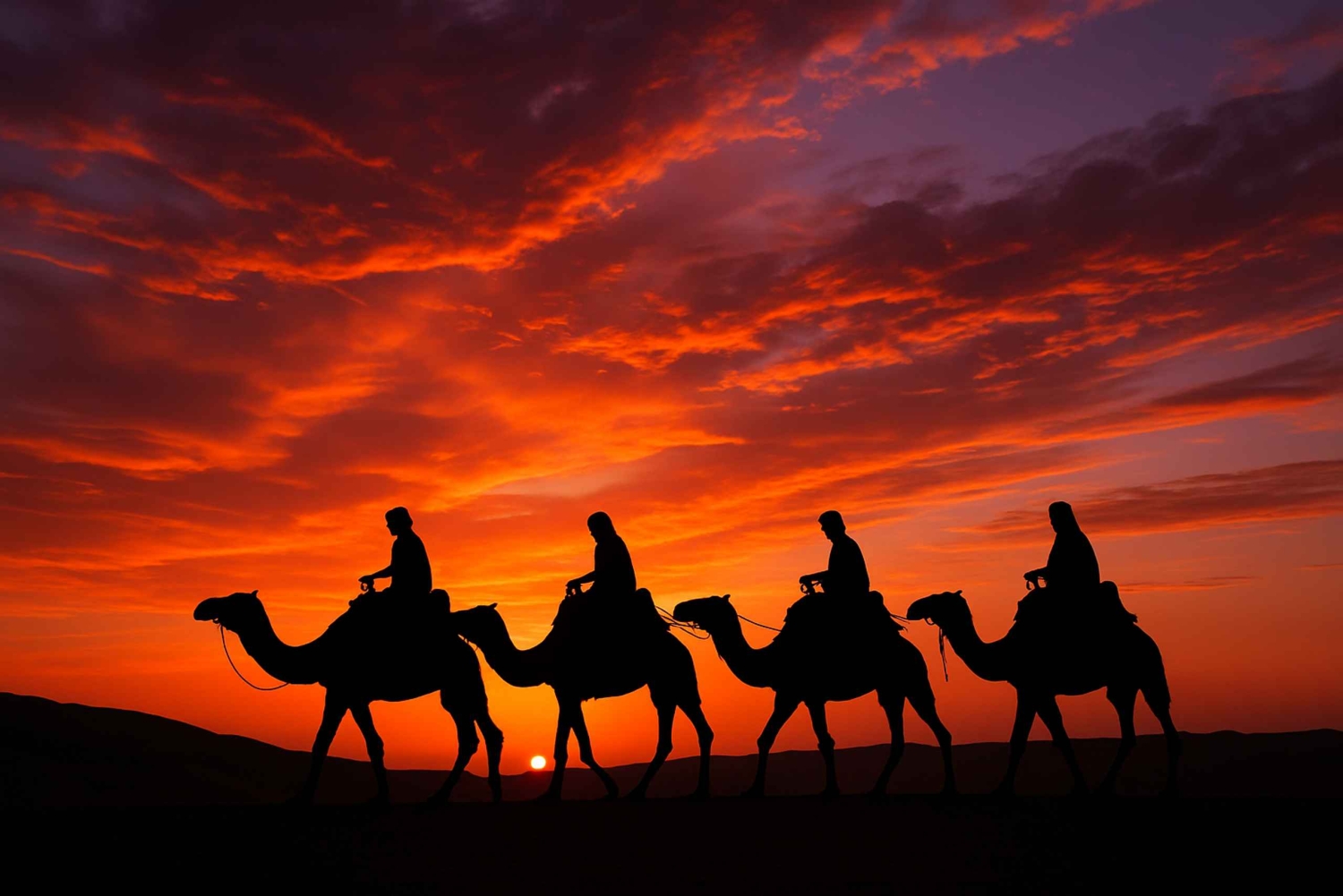 Марракеш: тур на квадроцикле по Агафе с катанием на верблюдах, ужином и шоу