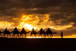 Марракеш: тур на квадроцикле по Агафе с катанием на верблюдах, ужином и шоу