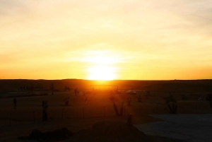 Марракеш: тур на квадроцикле по Агафе с катанием на верблюдах, ужином и шоу