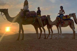 Марракеш: тур на квадроцикле по Агафе с катанием на верблюдах, ужином и шоу