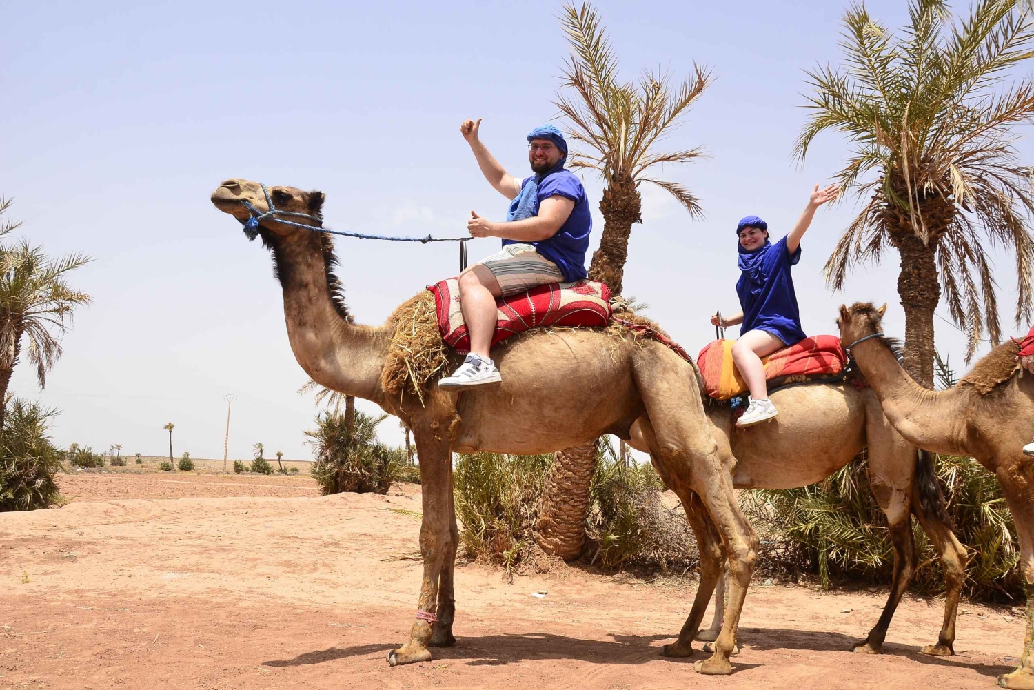 Марракеш: катание на верблюде в пустыне Рехамна и марокканский чай
