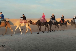 Марракеш: катание на верблюде в пустыне Рехамна и марокканский чай