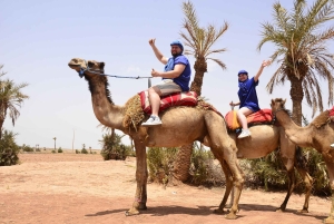 Марракеш: катание на верблюде в пустыне Рехамна и марокканский чай