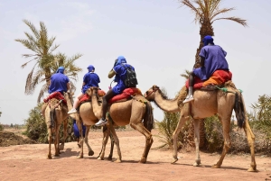 Марракеш: катание на верблюде в пустыне Рехамна и марокканский чай