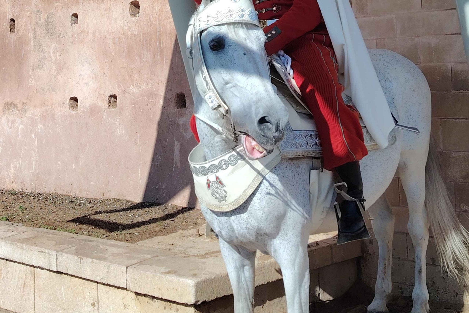 Из Марракеша в Касабланку и Рабат: культовое однодневное путешествие