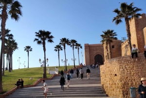 Из Марракеша в Касабланку и Рабат: культовое однодневное путешествие