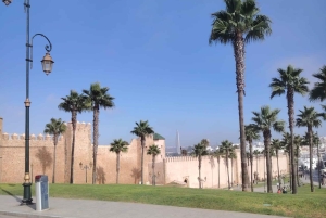 Из Марракеша в Касабланку и Рабат: культовое однодневное путешествие