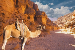 Moses Mountain & Saint Catherine från Dahab